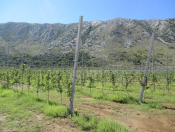 Упозорење пчеларима: Попово поље а.д. у понедјељак проводи хемијску заштиту засада