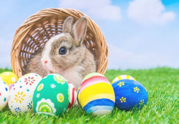 ЗАШТО ЗЕKО НОСИ ЈАЈА? Живописно поријекло васкршњих обичаја и симбола