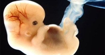 У Србији омогућена донација репродуктивних ћелија