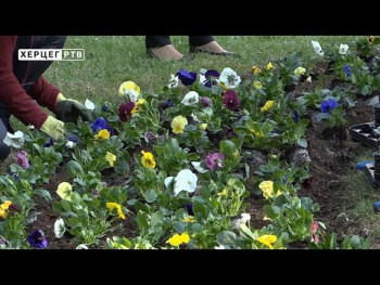 Ламбета: Више цвијећа за љепше Требиње (ВИДЕО)