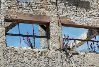 Procvjetao trebinjski  Novoteks: Iz ruševina fabrike izbile 'zijevalice'