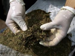CJB Trebinje – Pronađen i oduzet 61 gram spida i 11,8 grama marihuane