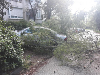 UDARI VJETRA U MOSTARU oborili stabla i nanijeli štetu