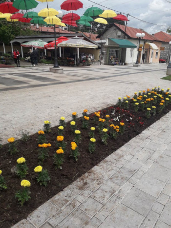 Sadnjom cvijeća uljepšali Nevesinje
