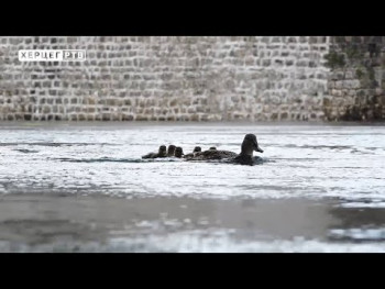 Intermeco: Da li će padavine uskoro prestati? (VIDEO)