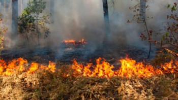 Гори на правцу Влашка-Пијавице