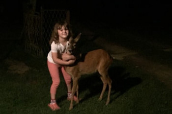 Лане Мицика вратило се Марији у загрљај