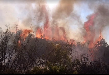 Nevesinje: Aktivan požar u Davidovićima – kuće nisu ugrožene