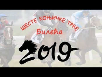 Одржане 6. Kоњичке трке 'Билећа 2019' (ВИДЕО)