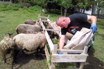 Supružnici uzgajaju neobično i rijetko voće, pčele i ovce