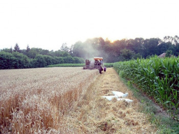 Исплаћено 2,7 милиона КМ за подстицаје у пољопривреди