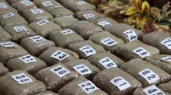 Rekordna zaplijena marihuane kod Dubrovnika