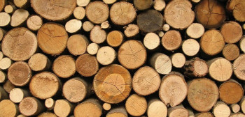 Gačani pripremaju ogrev