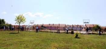 Невесиње: Средњошколци засадили дрворед на Гвозду