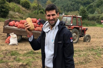 Kada Nole vadi krompir u Brzeću