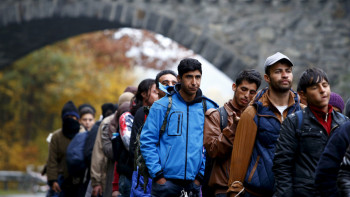 Akcija 'Zelengora': Otkriveno 29 migranata