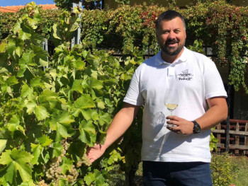 Подруми Вукоје: Нова берба и стари квалитет Царских винограда (ФОТО)