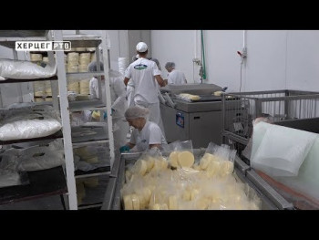 Pašalić: Nabavkom 200 junica do povećanja proizvodnje mlijeka (VIDEO)