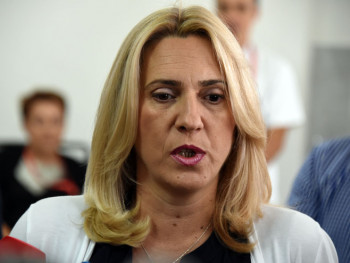 Cvijanović: Opšti nered u BiH, Srpska neće zbrinjavati migrante