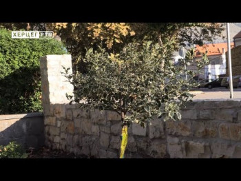 Trebinje: U toku jesenje uređenje grada (VIDEO)