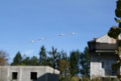 Misteriozna paučina u Nevesinju (FOTO)