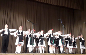 Gacko: Humanitarni koncert za Snežanu Davidović