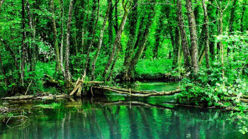 НАЈАВА: Пројекција документарно-промотивног филма о заштићеним подручјима природе РС