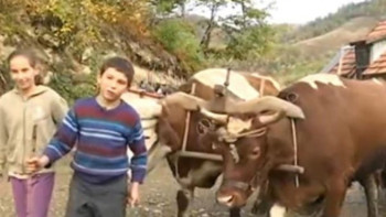 MEDVJED I VUK IM 'PRVE KOMŠIJE': Vrijedni blizanci Milica i Milan (13) žive GORŠTAČKIM ŽIVOTOM