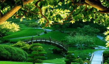 Научници: Више дрвећа и траве - дужи живот!