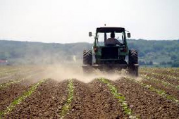 Trebinje: Subvencije za više od 900 poljoprivrednika