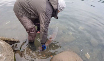 За викенд у Фочи лов дринске краљице- Хуко хуко куп