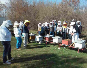 Obavještenje iz Udruženja pčelara opštine Nevesinje