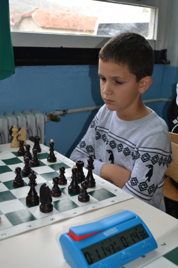 Вук Брборић шахиста без премца