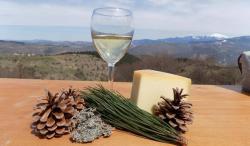 Фоча: „Златни сир“ и највећи европски кањон шанса за туризам
