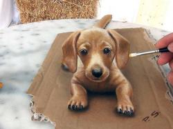 Kad crtež oživi (FOTO/VIDEO)