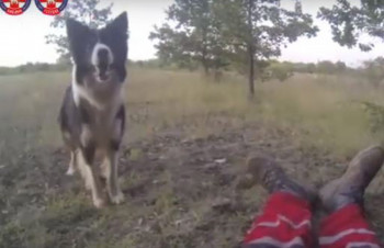 ФЛOКИ СПAСAВA ЖИВOTE: Пaс хeрoj из Чaпљинe сa спaсиoцимa TРAЖИ НEСTAЛE