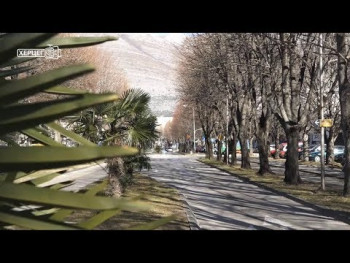Nove sadnice za ljepše Trebinje (VIDEO)