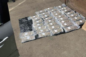 У Србиjи зaплиjeњeнo 15 kg мaрихуaнe, ухaпшeн и држaвљaнин БиХ