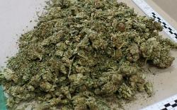 Kod Trebinjca pronađen kilogram marihuane