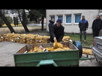 Аграрни фонд: Пет тона сјеменског кромпира за 17 произвођача (ВИДЕО)