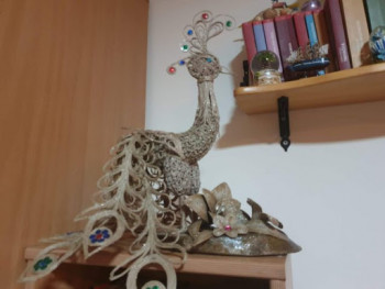 Јединствен ручни рад - Паун од 800 дијелова