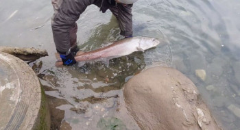 SRD 'Mladica': Zbog krivolova pokrenut postupak protiv ribara iz Foče