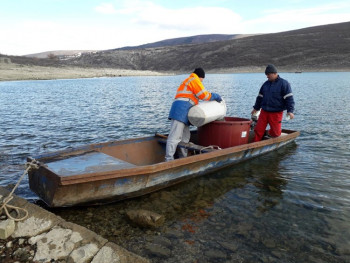 Bilećko jezero poribljeno sa 170.000 komada mlađi kalifornijske pastrmke