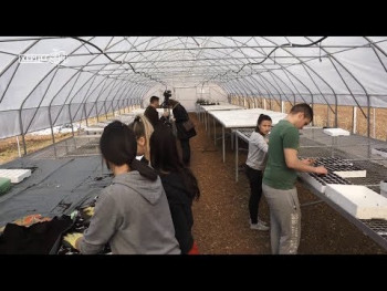 Требиње: Отворен модеран расадник, посијан први расад паприке и парадајза (ВИДЕО)