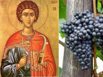 Данас Свети Трифун