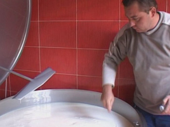 Isplaćeno preko dva miliona KM za premiju za mlijeko