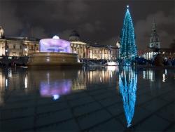 Zašto kitimo jelku: Kako su nastali novogodišnji običaji ukrašavanja kuće