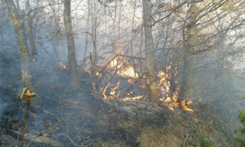 Za dva dana u Foči sedam požara