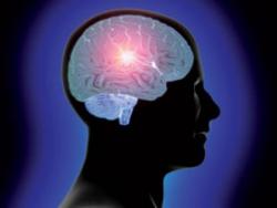 Provjerite koja vrsta inteligencije je vaš najjači adut