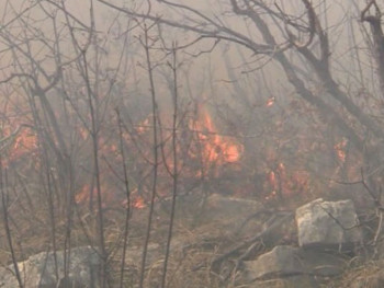 Na području istočne Hercegovine aktivno 14 požara